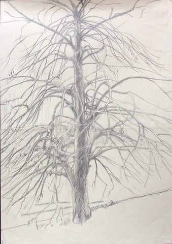 Drawings: Trees (03)