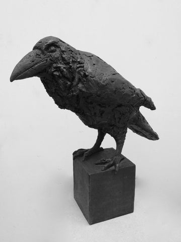 Corvid