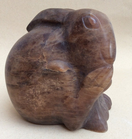 Crouching Hare