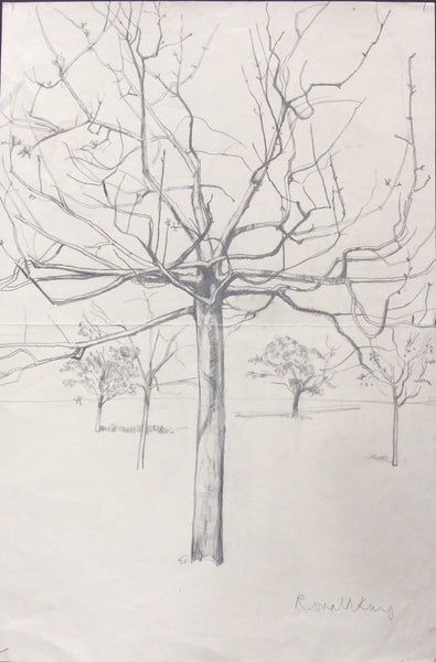 Drawings: Trees (02)