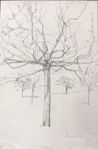 Drawings: Trees (02)