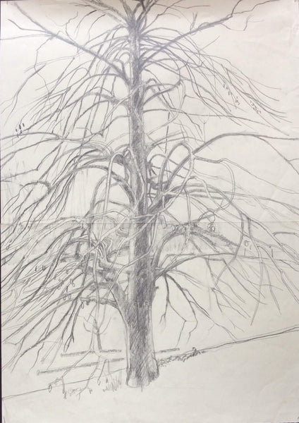 Drawings: Trees (03)