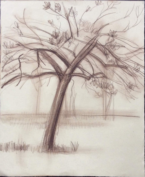 Drawings: Trees (05)
