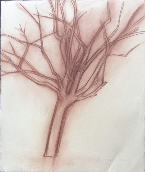 Drawings: Trees (06)