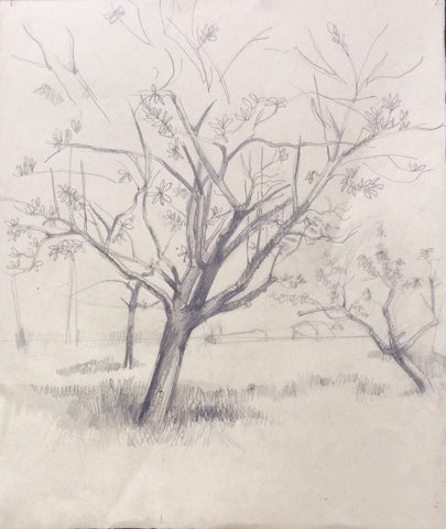Drawings: Trees (07)